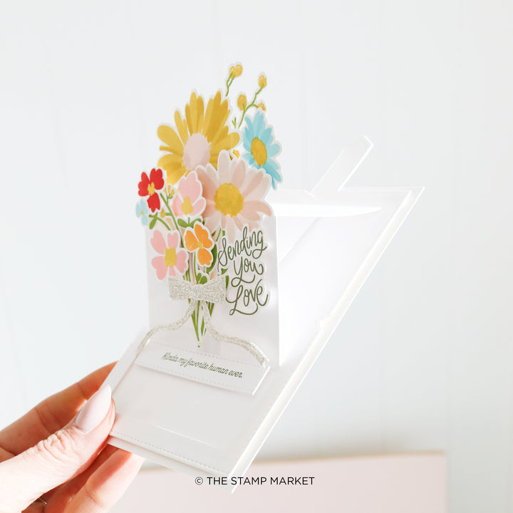 SLIDER POP UP CARD