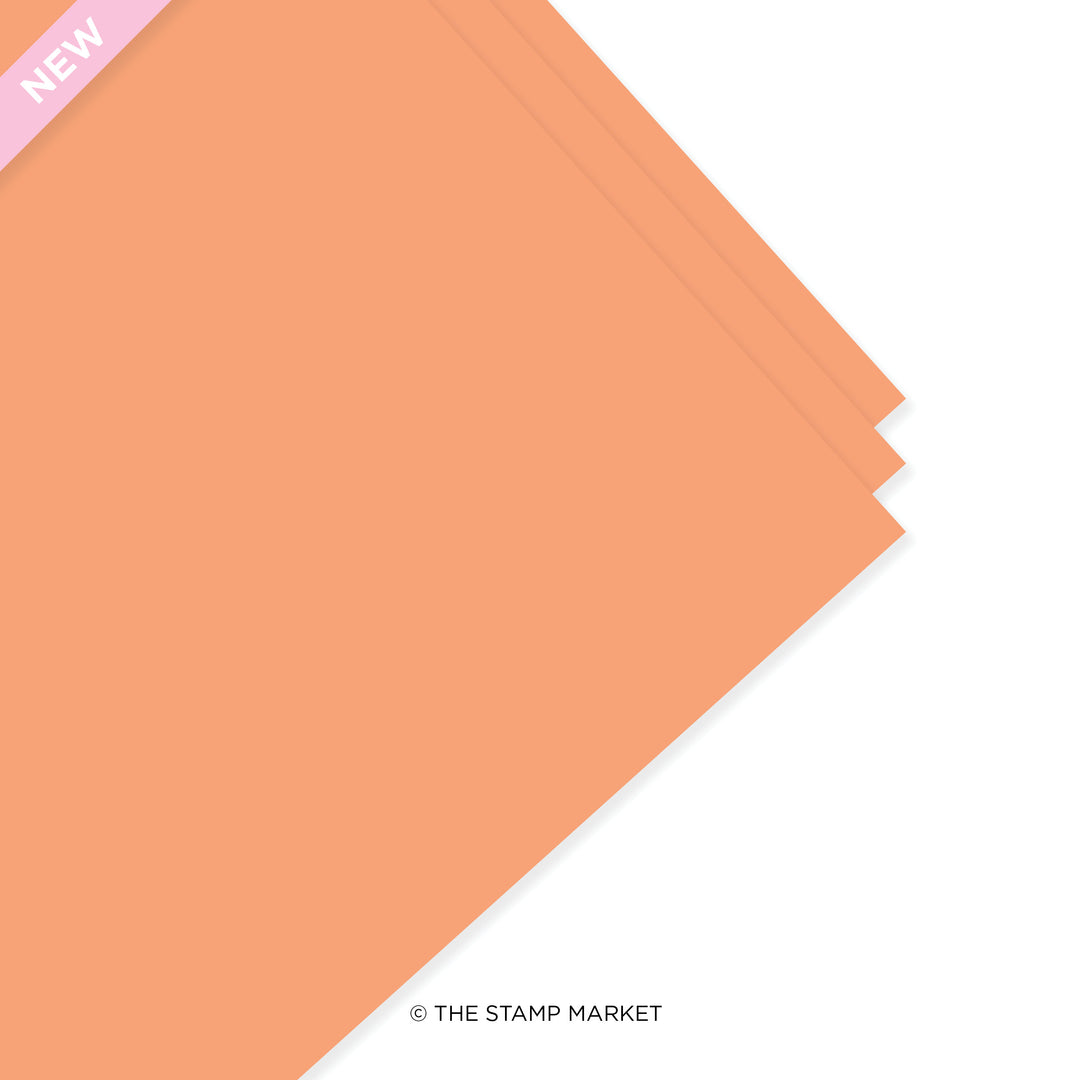 SORBET CARDSTOCK