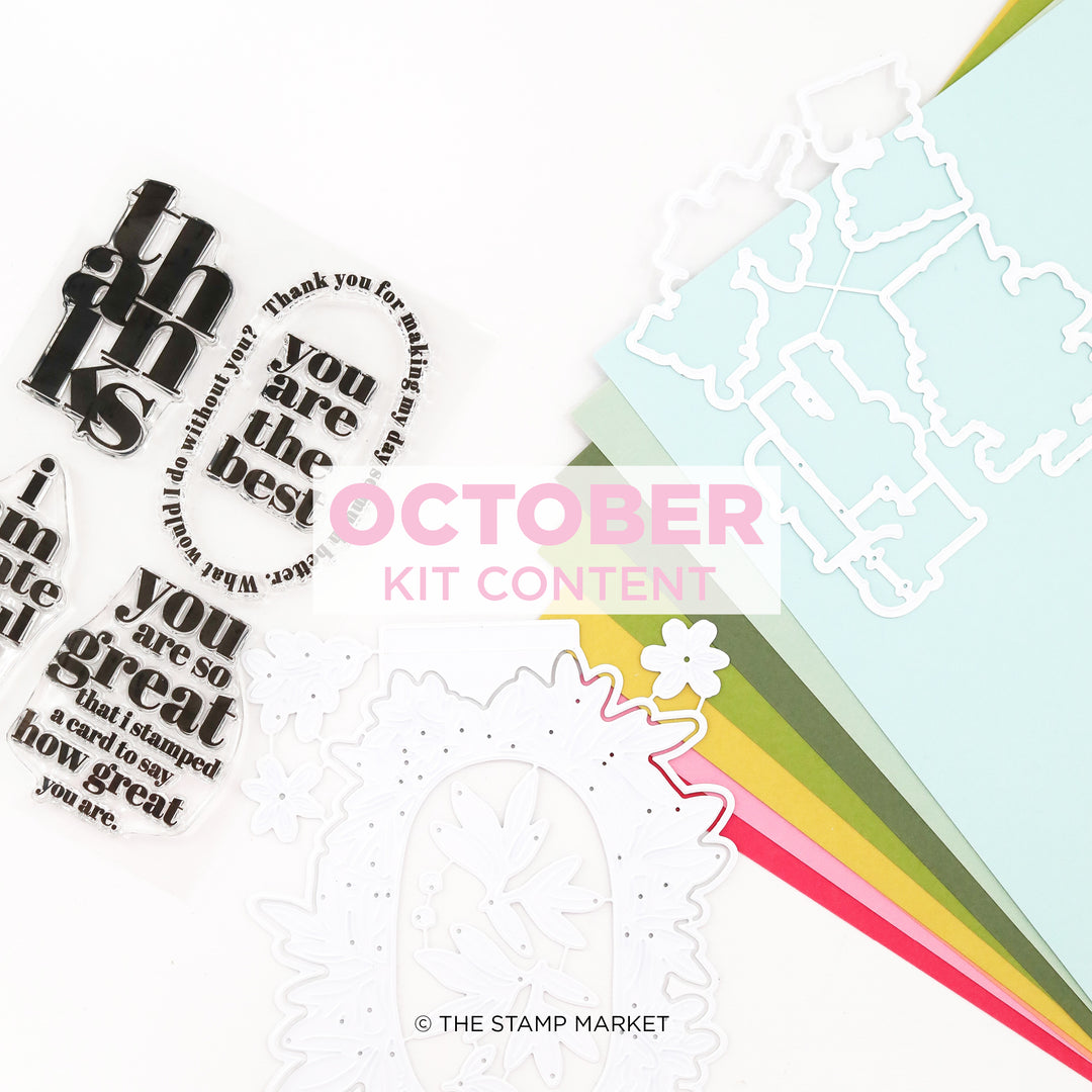 OCT STANDARD CARD KIT