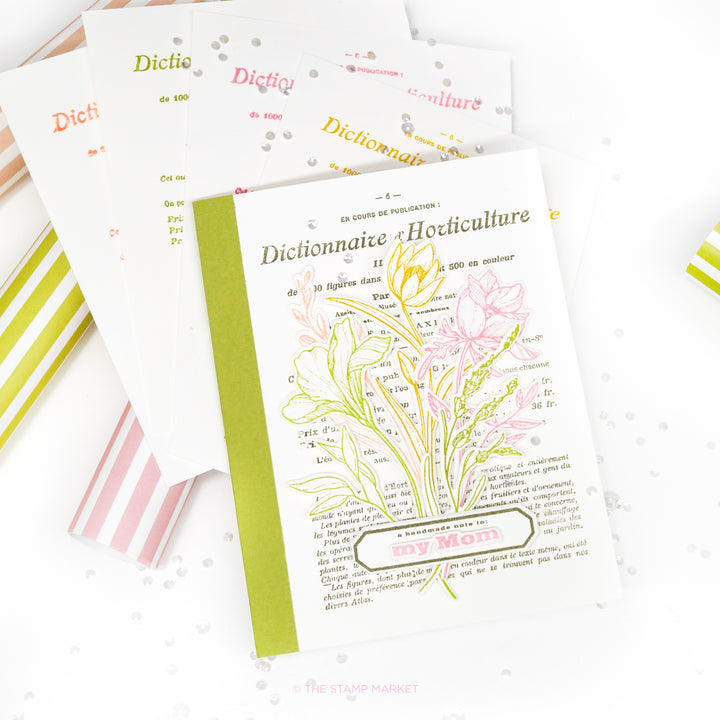 DICTIONNAIRE D&